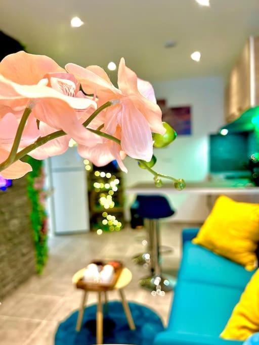 La Foret Enchantee, Centre Ville Pont-Sur-Yonne Ngoại thất bức ảnh